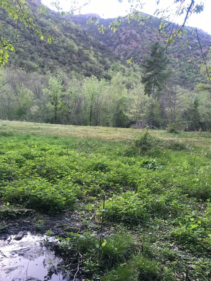 La Mirabelle-Casteil Country House ξενώνας Εξωτερικό φωτογραφία