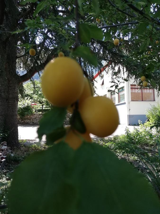 La Mirabelle-Casteil Country House ξενώνας Εξωτερικό φωτογραφία
